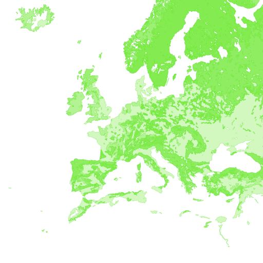 Landcover